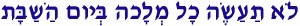 mitzvah320.gif (1587 bytes)